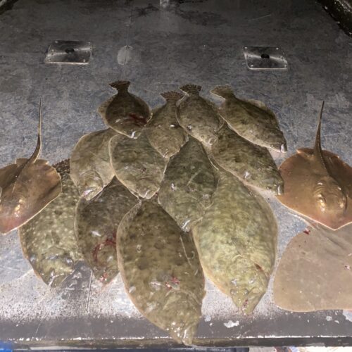 Galveston Bay Texas Costal Fishing, Bowfishing and Flounder Gigging