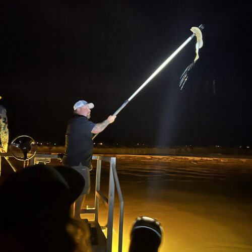 Galveston Bay Texas Costal Fishing, Bowfishing and Flounder Gigging