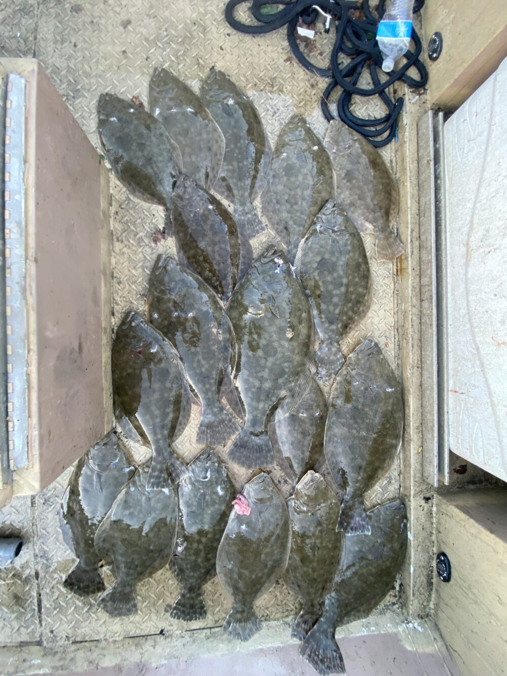 Galveston Bay Texas Costal Fishing, Bowfishing and Flounder Gigging