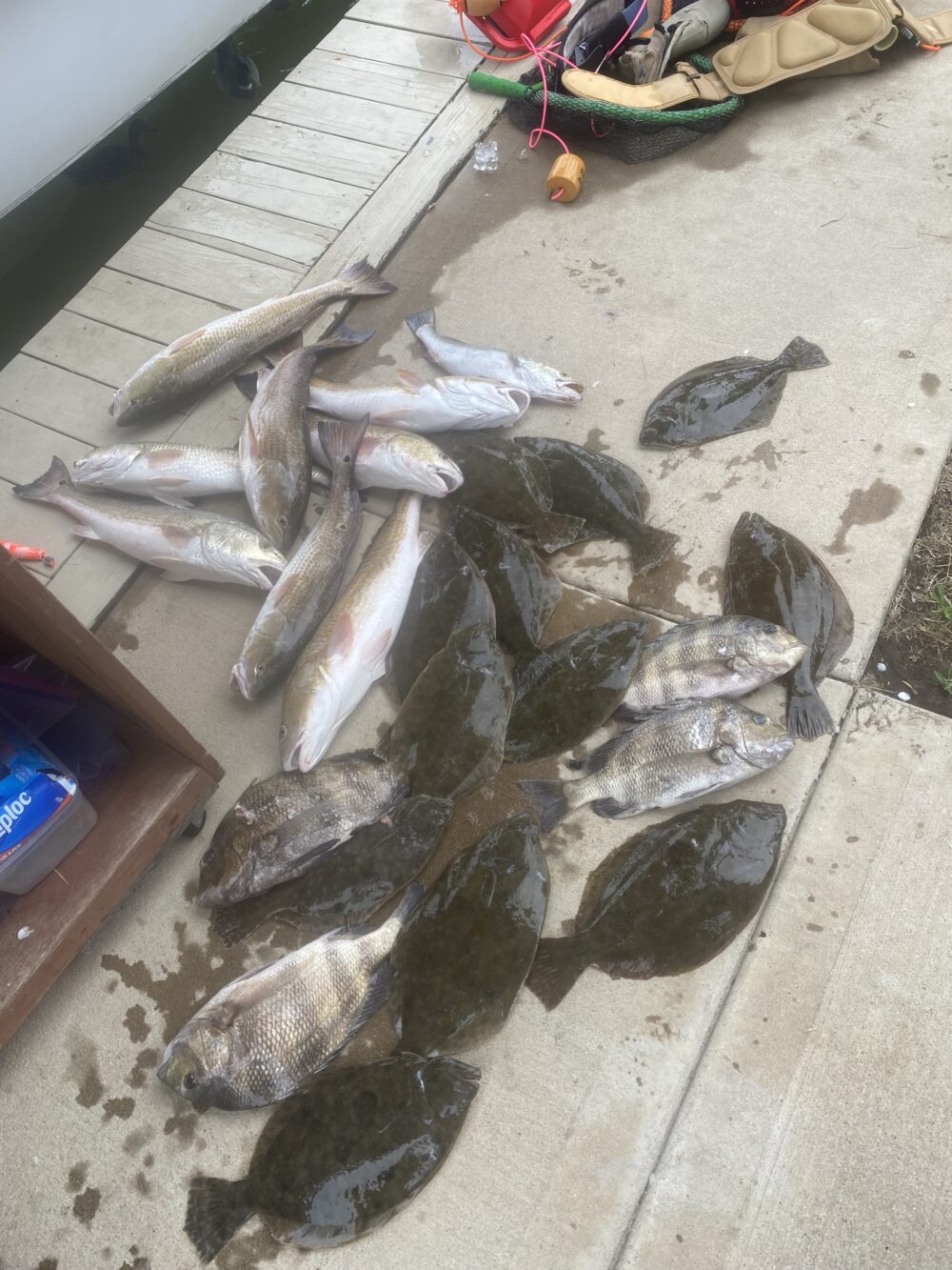 Galveston Bay Texas Costal Fishing, Bowfishing and Flounder Gigging